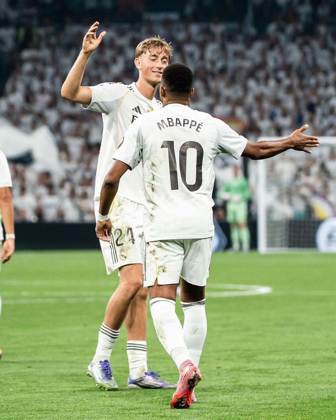 团队将赫伊, 往往是最踏